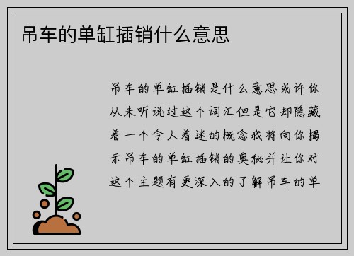 吊车的单缸插销什么意思